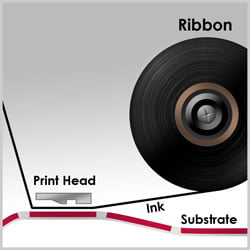 PaladinID Coated Side Out Thermal Transfer Ribbons