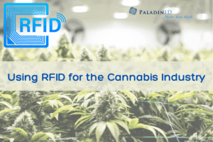 RFID for the Cannabis Industry