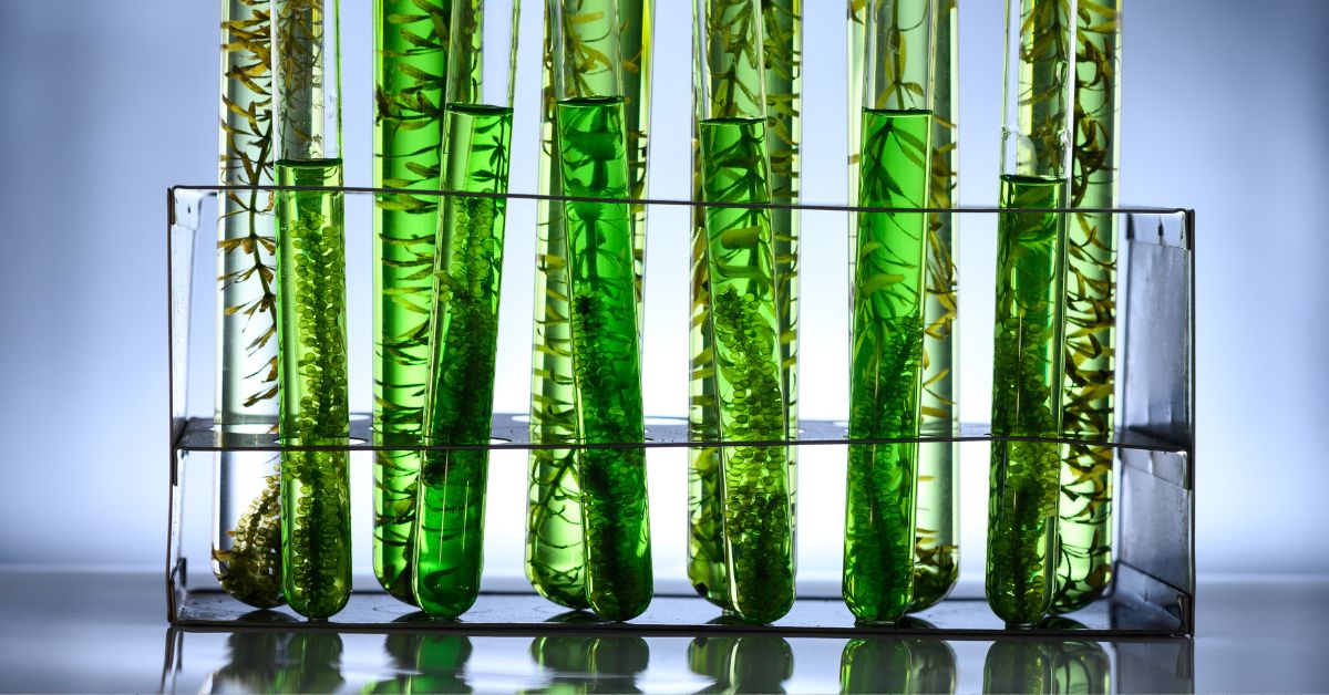 Custom color labels the new frontier in biotech product identification